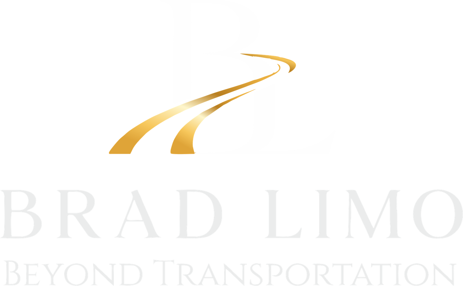 BRAD LIMO — BRAD LIMO PERFORMANCE MARKETING